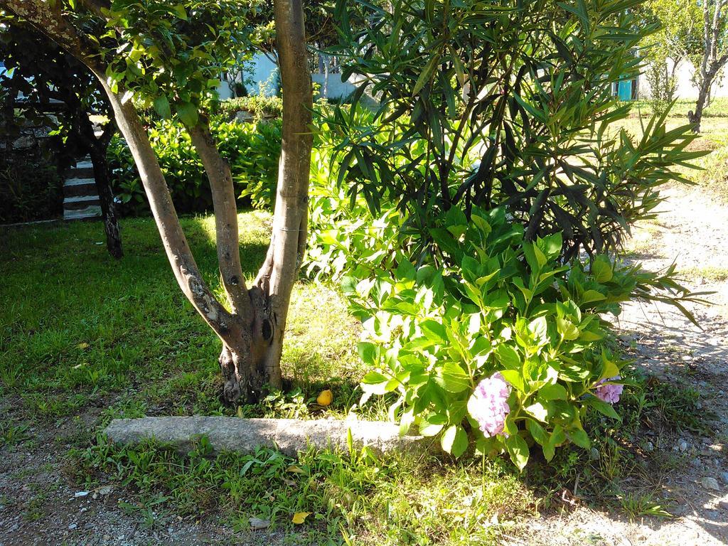 Casa Do Fiscal Villa Barroselas Szoba fotó